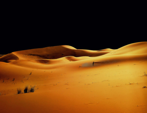 Dune M Hamid